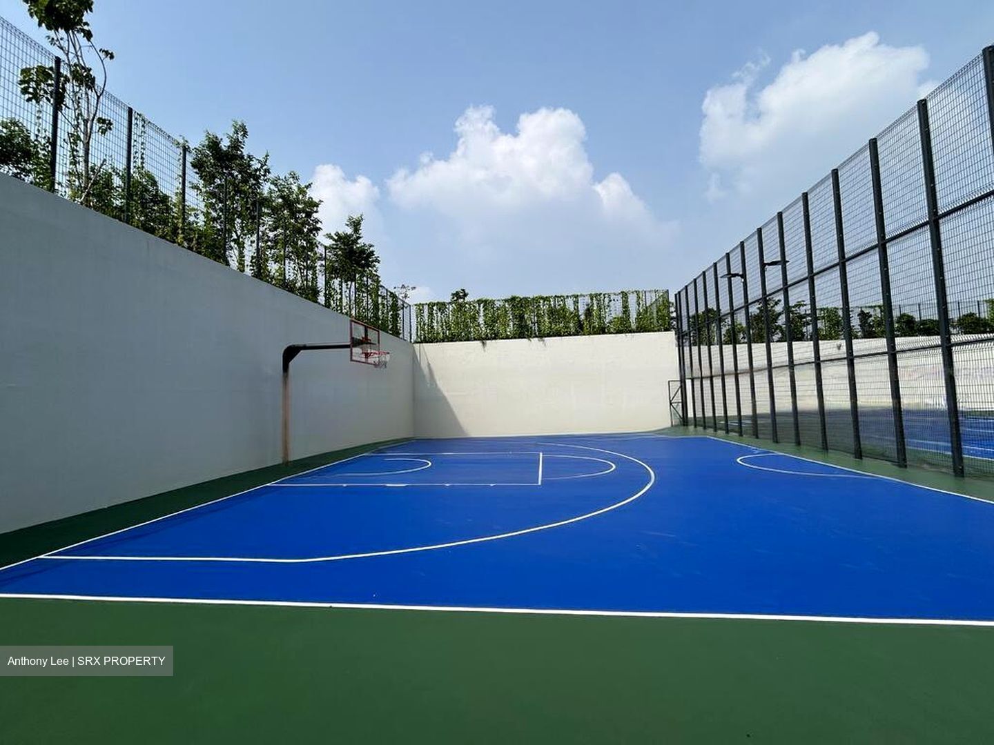 Normanton Park (D5), Apartment #599482551